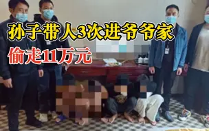 孙子带人3次进爷爷家偷走11万元：曾因吸毒、盗窃等被打击处理过