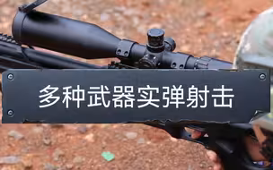 【多种武器实弹训练！】军迷福利！武警第二机动总队某支队，野外训练场，手枪、自动步枪、高精度狙击步枪、喷火器、迫击炮等多种武器实弹训练！（杨军）