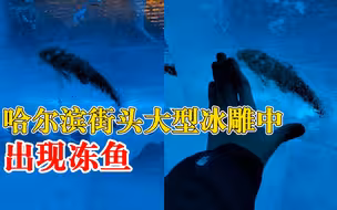哈尔滨街头大型冰雕中出现冻鱼，市民：有20厘米长，很少见