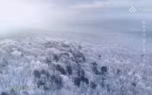 【航拍中国】北国风光，千里冰封，万里雪飘，说的大概是这儿