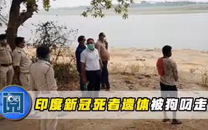 火葬场崩溃，印度又现骇人一幕：尸体烧一半被狗叼走，拖进居民区