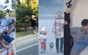 一周最火趣闻：咏春打狗 海狸复仇