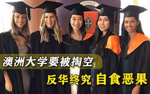 欺压中国留学生代价惨痛！澳洲教育市场撑不住了，印度人火上浇油