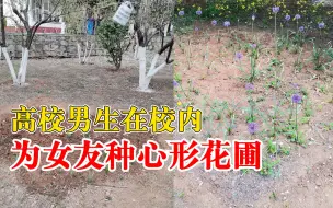 高校男生在校内为女友种心型花圃：长宽大概2米，挂标语提示