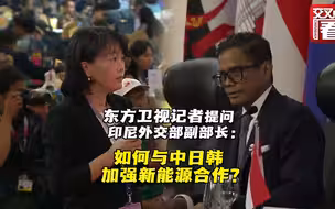 东方卫视记者在东盟峰会上提问印尼外交部副部长