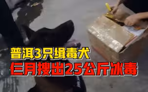 云南普洱3只缉毒犬仨月搜出25公斤冰毒，助警方破获3起毒品案件