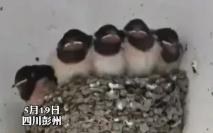 你除了有爱人还有家人哦～ 相爱十年！蓝朋友今天表白啦！