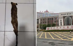 南昌一女子顺产后发现体内遗留纱布60天 卫健委：助产士操作失误