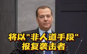 梅德韦杰夫：将以“非人道手段”报复袭击者