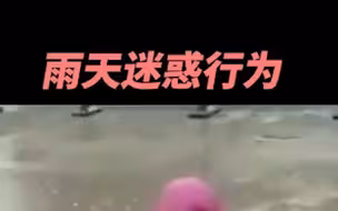 原来下雨天，会激发人类的沙雕气质！