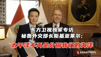 东方卫视独家专访秘鲁外交部长斯基亚莱尔