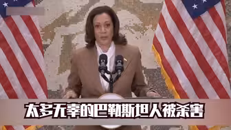 美国副总统承认：太多无辜的巴勒斯坦人被杀害