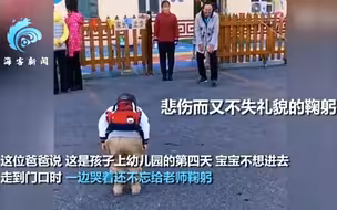 萌娃不想上幼儿园 奈何“太礼貌”：远远向老师鞠躬 哭着挥别爸爸