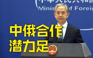 外交部：共同推动中俄合作行稳致远 不断造福两国人民