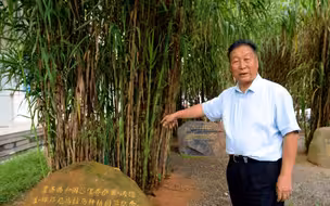世界菌草之父林占熺，用菌草征服世界的中国男人