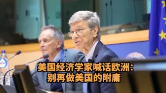 一语中的｜美国经济学家喊话欧洲：别再做美国的附庸