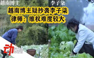 李子柒视频疑遭越南博主抄袭 律师：维权难度大 需精准比对