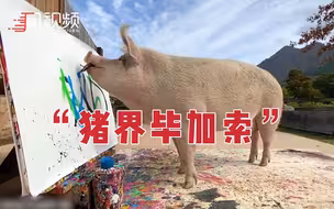 “猪界毕加索”！南非一只猪靠画画赚45万