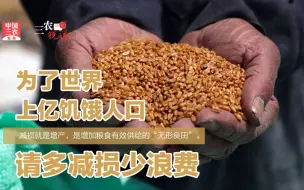 三农锐评丨为了世界上亿饥饿人口，请多减损少浪费