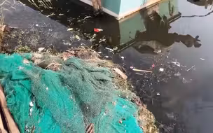 阳澄湖旁上千农家乐，一天排污好几吨 大妈感慨“河水脏死了”