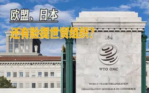 中国限制芯片原材料出口，欧盟日本双标嘴脸再现，叫嚣世贸打官司