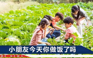 劳动课又回来了！五六年级小学生开始学炖骨头汤，饲养兔子羊等