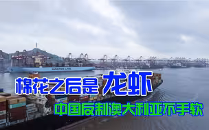 对澳大利亚不能手下留情，中国开启反制模式就是一连串重拳
