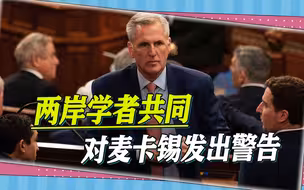 两岸学者共同对麦卡锡发出警告：若窜台，大陆必将做出强烈回应
