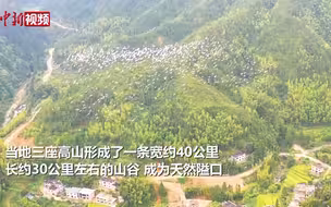 江西遂川“千年鸟道”迎“空中来客”