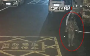 偷两百多件金器没出门就被抓 蒙面盗贼输给了高科技