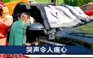 江苏一幼童被锁车内哭闹，妈妈不让消防员破窗：他应该没啥事
