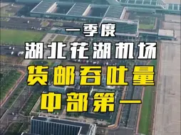 一季度湖北花湖机场货邮吞吐量中部第一！湖北货运辐射全球，高质量发展看中国
