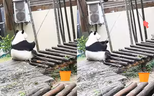 只要心中有塘，哪里都能钓鱼