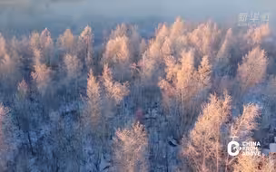 你那边下雪了没啊