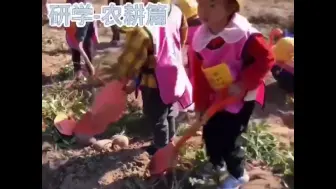 台州黄岩5000名学生的田园研学之旅