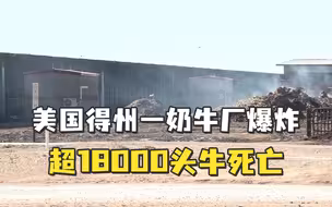 美国得州一奶牛厂爆炸：超18000头牛死亡