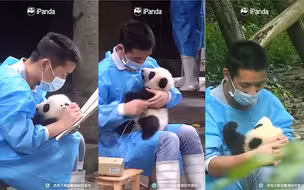 这什么神仙工作啊！