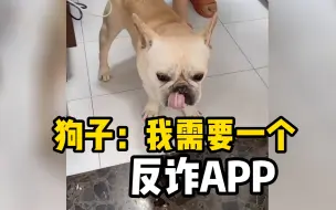 如何让狗子心甘情愿吃药？气氛要烘托到位！
