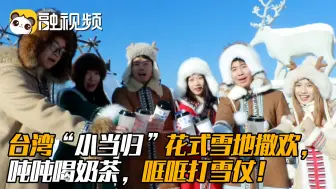 台湾“小当归”花式雪地撒欢，吨吨喝奶茶，哐哐打雪仗！