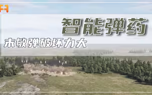 坦克克星！末敏弹威力大目标识别能力强，可让坦克瘫痪