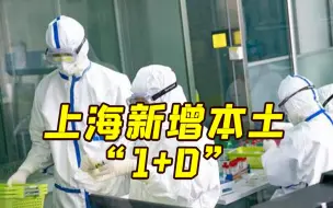 9月13日上海新增本土“1+0” 一地划为中风险区