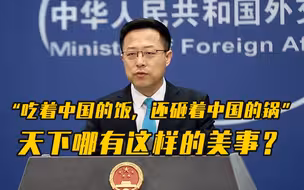 “吃着中国的饭，还砸着中国的锅”，天下哪有这样的美事？