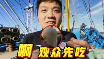 吃不完！这里的扇贝根本吃不完