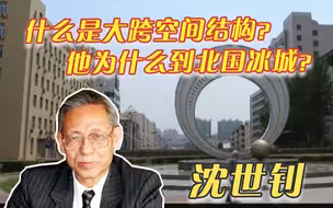 沈世钊：大跨之美