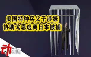 美国特种兵父子涉嫌协助戈恩逃离日本被捕 或将通过视频在美受审