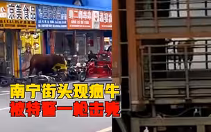 疯牛街头乱撞被特警一枪击毙，警方：人没事，几辆电动车损坏