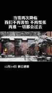 又见雪飘过