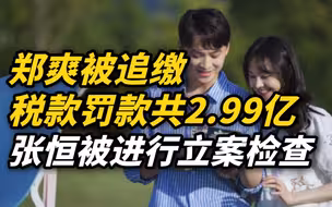 国家税务总局通报郑爽偷逃税案，郑爽被追缴税款罚款共2.99亿，张恒被进行立案检查