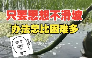 男子用电钻清理水塘里的青苔 只要思想不滑坡 办法总比困难多