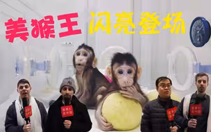 猴赛雷！歪果仁为中国克隆猴打call！